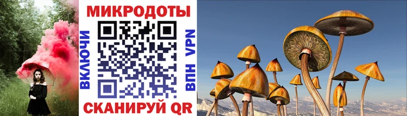 Псилоцибиновые грибы мухоморы Белоусово